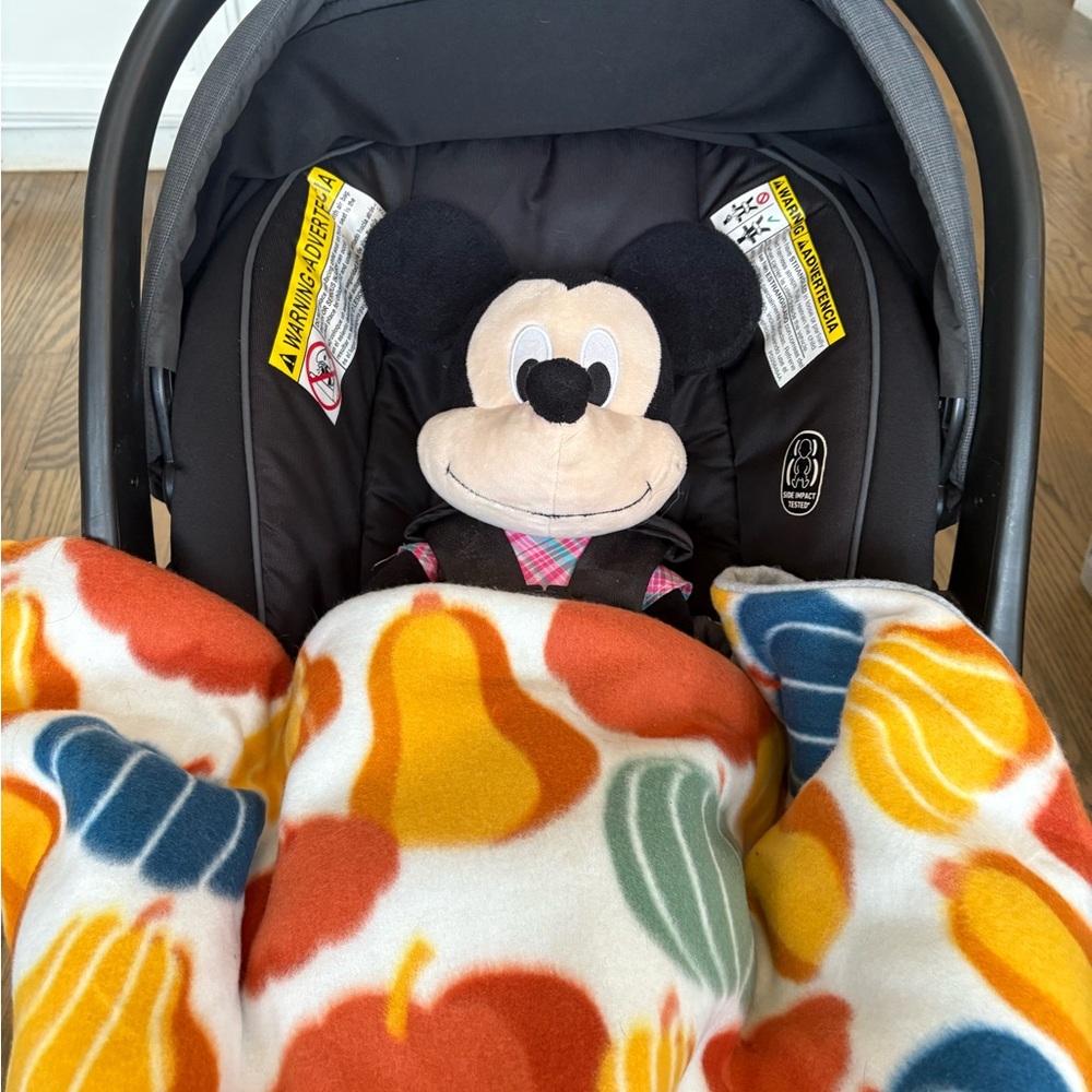 Fall/Autumn with Pumpkins Baby Car Seat